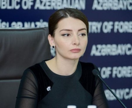 Səfir Fransa Milli Assambleyasının qətnaməsinə münasibət bildirdi