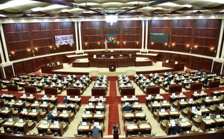 Milli Məclisdən Dünya azərbaycanlılarına müraciət